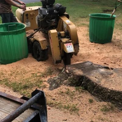 McD's Tree Service - Stump Grinding Service