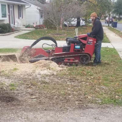 McD's Tree Service - Stump Removal Services